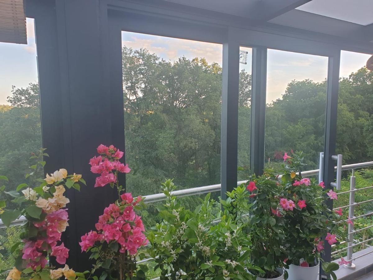 Cozy Room With A Beautiful Garden View Baunatal Bagian luar foto